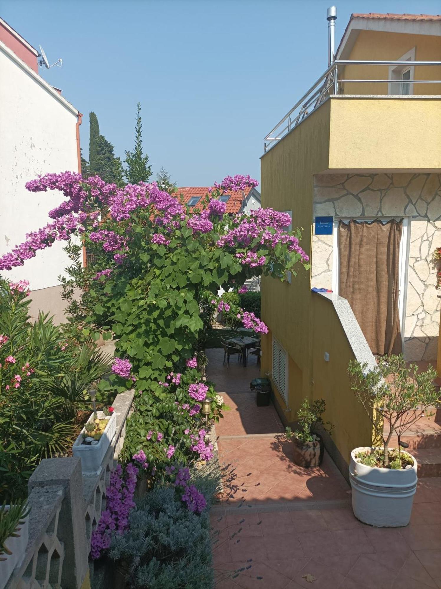 Apartmani Grguric Kornic Exterior photo