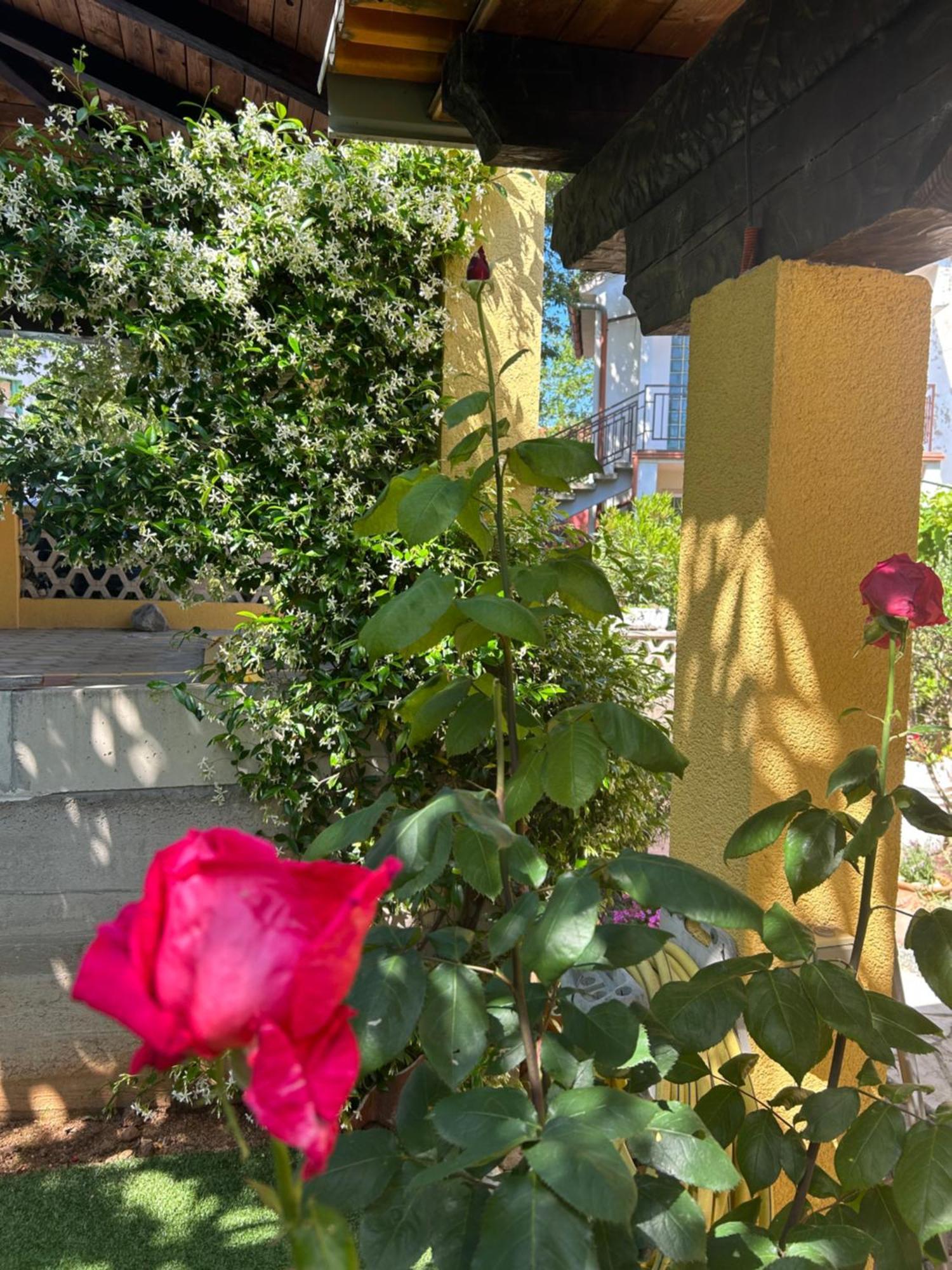 Apartmani Grguric Kornic Exterior photo